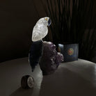 Medium Hand - Carved Clear Quartz Parrot on an Amethyst Base, 6.2" Tall #3003 - CQPAM - 018 - Brazil GemsBrazil GemsMedium Hand - Carved Clear Quartz Parrot on an Amethyst Base, 6.2" Tall #3003 - CQPAM - 018Crystal Birds3003 - CQPAM - 018