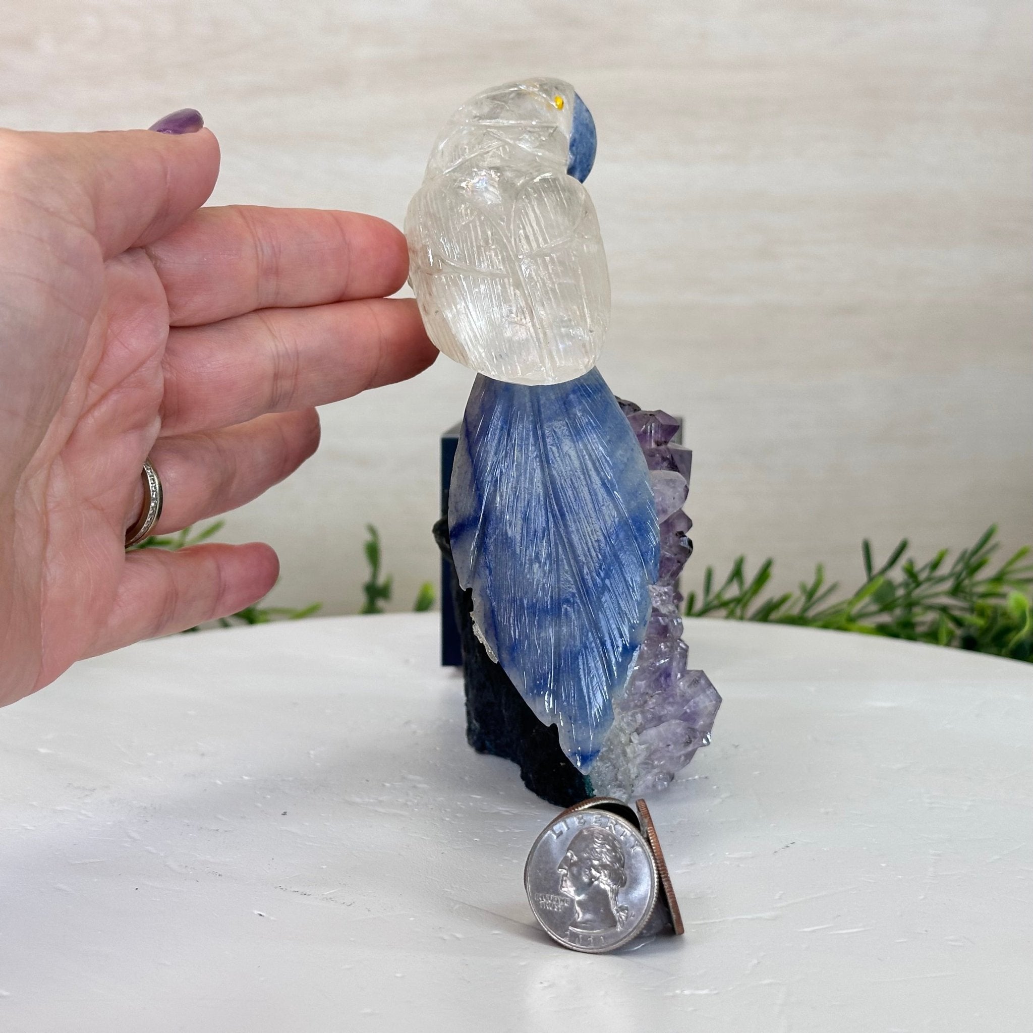 Medium Hand - Carved Clear Quartz Parrot on an Amethyst Base, 6.2" Tall #3003 - CQPAM - 018 - Brazil GemsBrazil GemsMedium Hand - Carved Clear Quartz Parrot on an Amethyst Base, 6.2" Tall #3003 - CQPAM - 018Crystal Birds3003 - CQPAM - 018