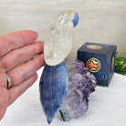 Medium Hand - Carved Clear Quartz Parrot on an Amethyst Base, 6.2" Tall #3003 - CQPAM - 018 - Brazil GemsBrazil GemsMedium Hand - Carved Clear Quartz Parrot on an Amethyst Base, 6.2" Tall #3003 - CQPAM - 018Crystal Birds3003 - CQPAM - 018