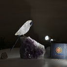 Medium Hand - Carved Clear Quartz Parrot on an Amethyst Base, 6.2" Tall #3003 - CQPAM - 018 - Brazil GemsBrazil GemsMedium Hand - Carved Clear Quartz Parrot on an Amethyst Base, 6.2" Tall #3003 - CQPAM - 018Crystal Birds3003 - CQPAM - 018