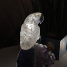 Medium Hand - Carved Clear Quartz Parrot on an Amethyst Base, 6.2" Tall #3003 - CQPAM - 018 - Brazil GemsBrazil GemsMedium Hand - Carved Clear Quartz Parrot on an Amethyst Base, 6.2" Tall #3003 - CQPAM - 018Crystal Birds3003 - CQPAM - 018