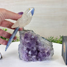 Medium Hand - Carved Clear Quartz Parrot on an Amethyst Base, 6.2" Tall #3003 - CQPAM - 018 - Brazil GemsBrazil GemsMedium Hand - Carved Clear Quartz Parrot on an Amethyst Base, 6.2" Tall #3003 - CQPAM - 018Crystal Birds3003 - CQPAM - 018