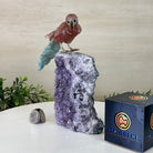 Medium Hand - Carved Fire Quartz Parrot on an Amethyst Base, 7.5" Tall #3003 - FQPAM - 021 - Brazil GemsBrazil GemsMedium Hand - Carved Fire Quartz Parrot on an Amethyst Base, 7.5" Tall #3003 - FQPAM - 021Crystal Birds3003 - FQPAM - 021