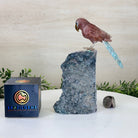 Medium Hand - Carved Fire Quartz Parrot on an Amethyst Base, 7.5" Tall #3003 - FQPAM - 021 - Brazil GemsBrazil GemsMedium Hand - Carved Fire Quartz Parrot on an Amethyst Base, 7.5" Tall #3003 - FQPAM - 021Crystal Birds3003 - FQPAM - 021