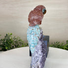 Medium Hand - Carved Fire Quartz Parrot on an Amethyst Base, 7.5" Tall #3003 - FQPAM - 021 - Brazil GemsBrazil GemsMedium Hand - Carved Fire Quartz Parrot on an Amethyst Base, 7.5" Tall #3003 - FQPAM - 021Crystal Birds3003 - FQPAM - 021