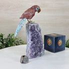 Medium Hand - Carved Fire Quartz Parrot on an Amethyst Base, 7.5" Tall #3003 - FQPAM - 021 - Brazil GemsBrazil GemsMedium Hand - Carved Fire Quartz Parrot on an Amethyst Base, 7.5" Tall #3003 - FQPAM - 021Crystal Birds3003 - FQPAM - 021