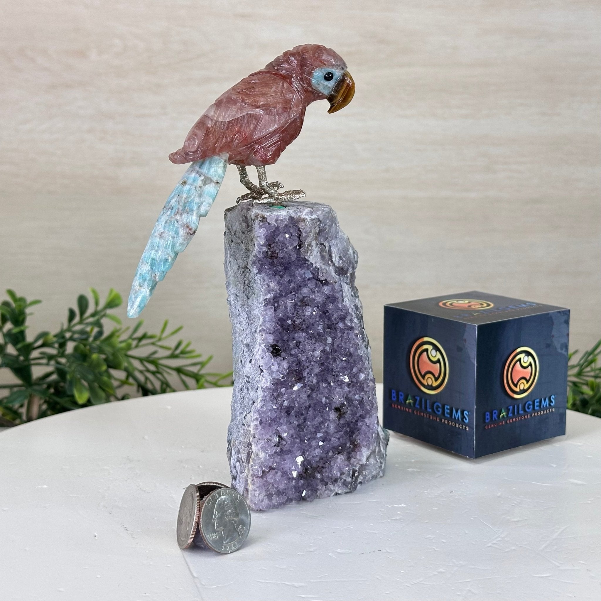 Medium Hand - Carved Fire Quartz Parrot on an Amethyst Base, 7.5" Tall #3003 - FQPAM - 021 - Brazil GemsBrazil GemsMedium Hand - Carved Fire Quartz Parrot on an Amethyst Base, 7.5" Tall #3003 - FQPAM - 021Crystal Birds3003 - FQPAM - 021