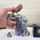 Medium Hand - Carved Fire Quartz Parrot on an Amethyst Base, 7.5" Tall #3003 - FQPAM - 021 - Brazil GemsBrazil GemsMedium Hand - Carved Fire Quartz Parrot on an Amethyst Base, 7.5" Tall #3003 - FQPAM - 021Crystal Birds3003 - FQPAM - 021