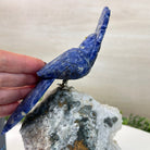 Medium Hand - Carved Sodalite Cockatoo on a Clear Quartz Base, 7.8" Tall #3003 - SOCCQ - 012 - Brazil GemsBrazil GemsMedium Hand - Carved Sodalite Cockatoo on a Clear Quartz Base, 7.8" Tall #3003 - SOCCQ - 012Crystal Birds3003 - SOCCQ - 012