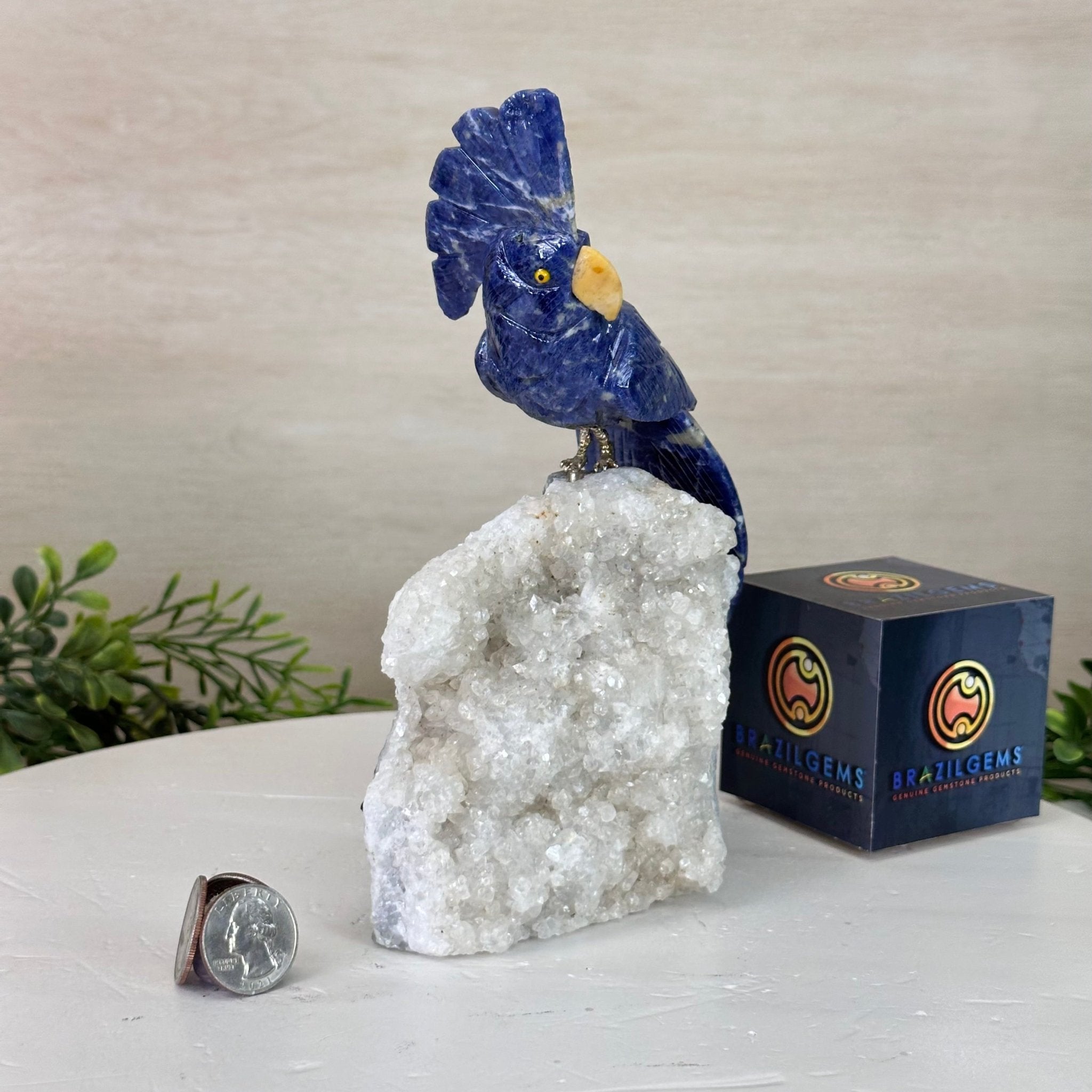 Medium Hand - Carved Sodalite Cockatoo on a Clear Quartz Base, 7.8" Tall #3003 - SOCCQ - 012 - Brazil GemsBrazil GemsMedium Hand - Carved Sodalite Cockatoo on a Clear Quartz Base, 7.8" Tall #3003 - SOCCQ - 012Crystal Birds3003 - SOCCQ - 012