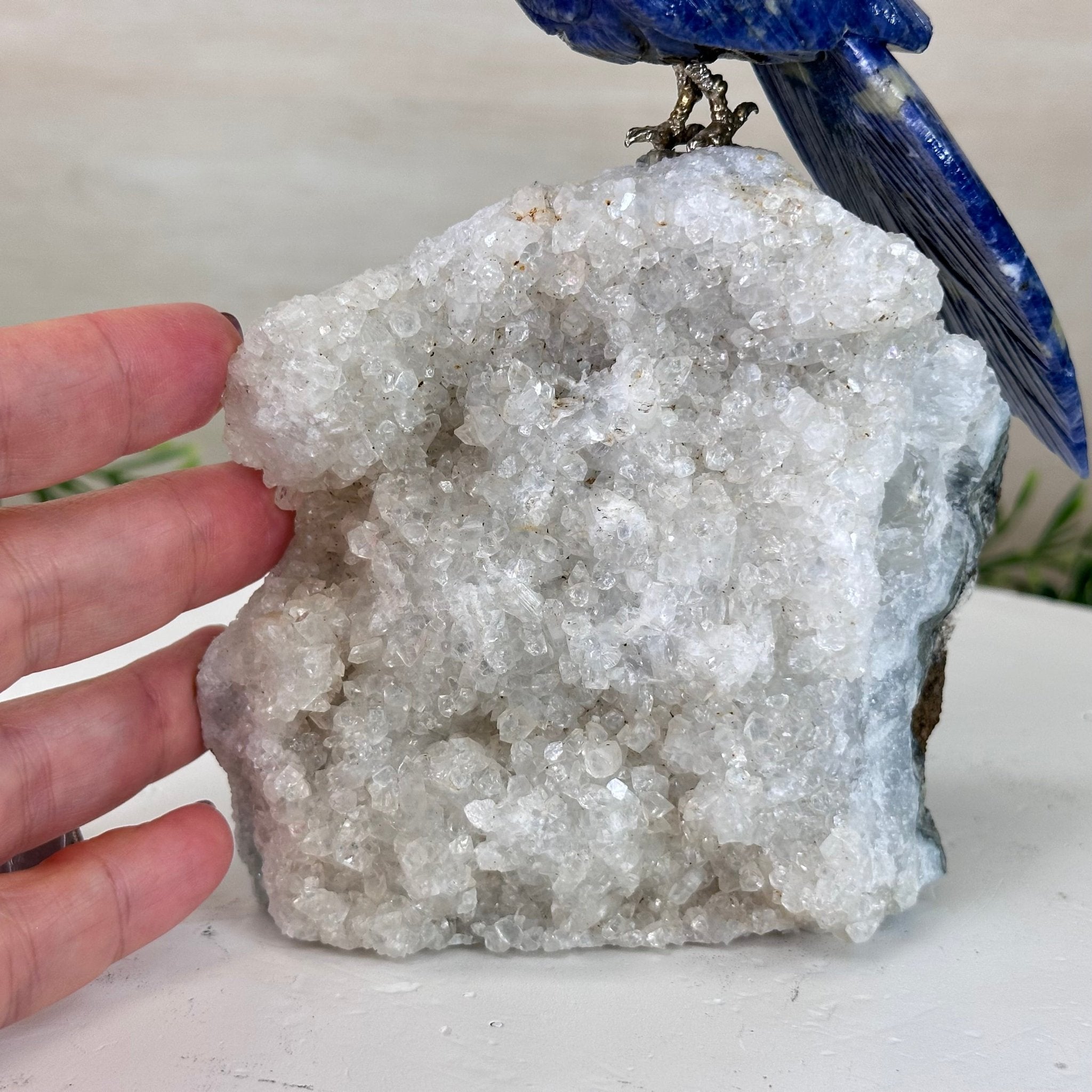 Medium Hand - Carved Sodalite Cockatoo on a Clear Quartz Base, 7.8" Tall #3003 - SOCCQ - 012 - Brazil GemsBrazil GemsMedium Hand - Carved Sodalite Cockatoo on a Clear Quartz Base, 7.8" Tall #3003 - SOCCQ - 012Crystal Birds3003 - SOCCQ - 012