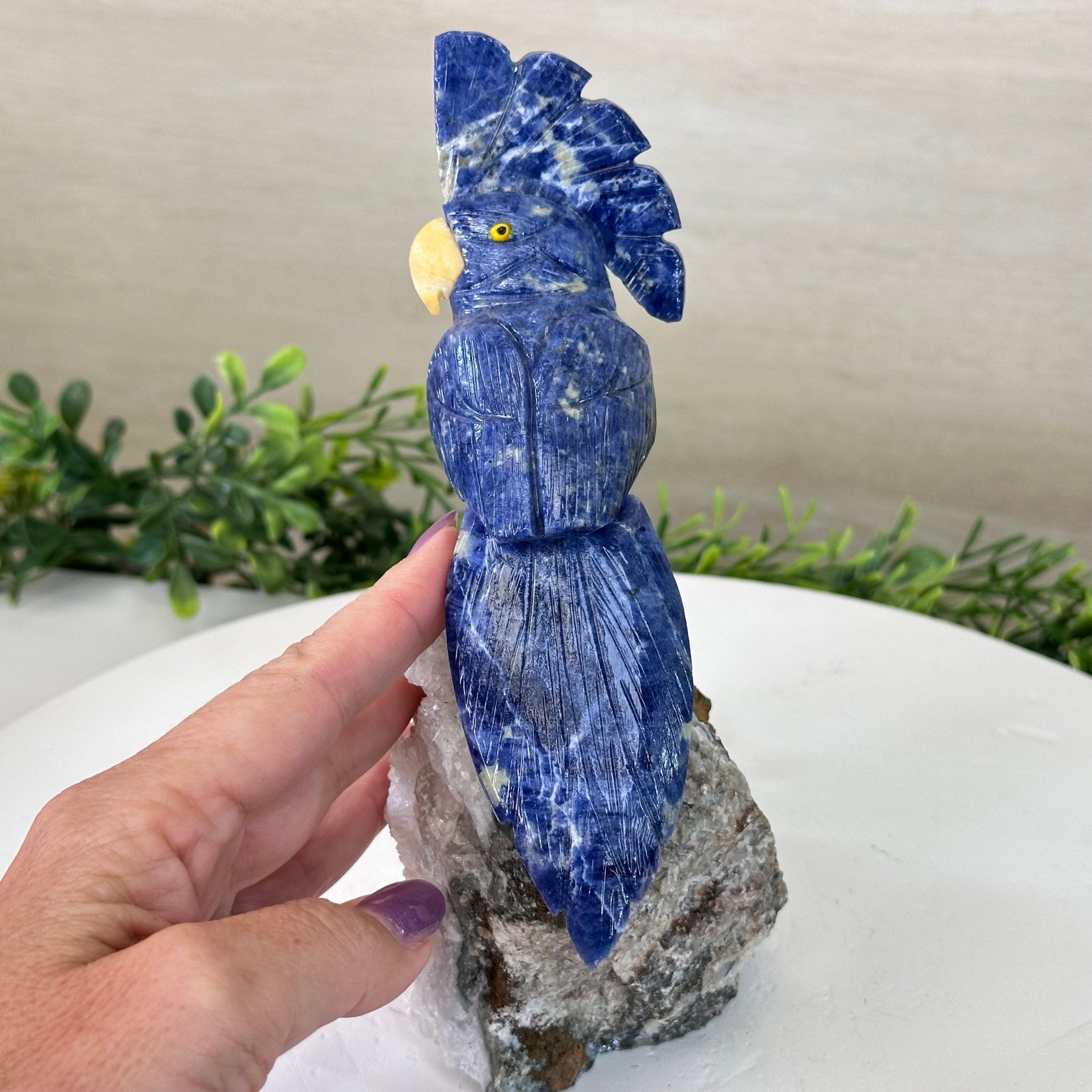 Medium Hand - Carved Sodalite Cockatoo on a Clear Quartz Base, 7.8" Tall #3003 - SOCCQ - 012 - Brazil GemsBrazil GemsMedium Hand - Carved Sodalite Cockatoo on a Clear Quartz Base, 7.8" Tall #3003 - SOCCQ - 012Crystal Birds3003 - SOCCQ - 012