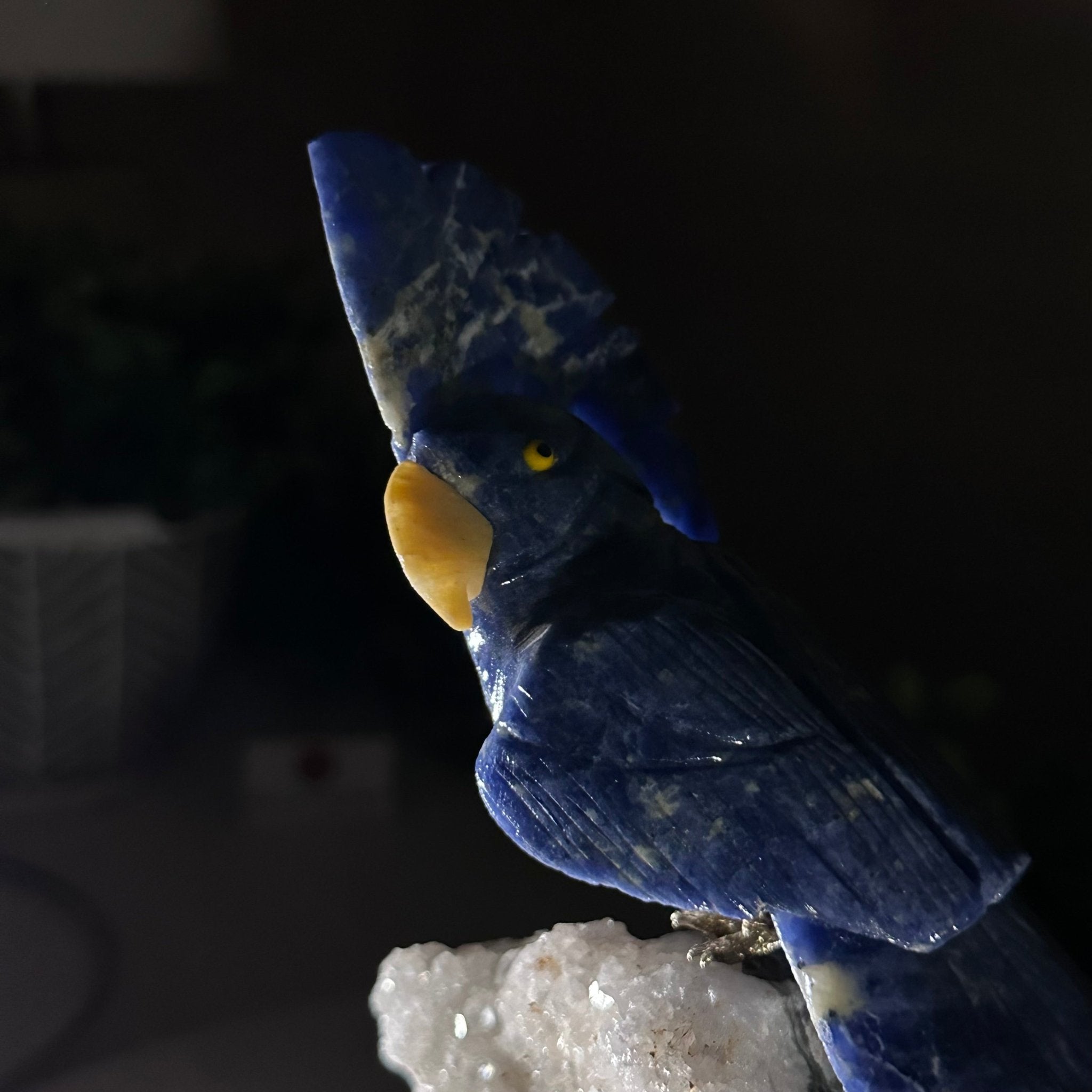 Medium Hand - Carved Sodalite Cockatoo on a Clear Quartz Base, 7.8" Tall #3003 - SOCCQ - 012 - Brazil GemsBrazil GemsMedium Hand - Carved Sodalite Cockatoo on a Clear Quartz Base, 7.8" Tall #3003 - SOCCQ - 012Crystal Birds3003 - SOCCQ - 012