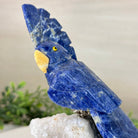 Medium Hand - Carved Sodalite Cockatoo on a Clear Quartz Base, 7.8" Tall #3003 - SOCCQ - 012 - Brazil GemsBrazil GemsMedium Hand - Carved Sodalite Cockatoo on a Clear Quartz Base, 7.8" Tall #3003 - SOCCQ - 012Crystal Birds3003 - SOCCQ - 012