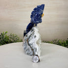 Medium Hand - Carved Sodalite Cockatoo on a Clear Quartz Base, 7.8" Tall #3003 - SOCCQ - 012 - Brazil GemsBrazil GemsMedium Hand - Carved Sodalite Cockatoo on a Clear Quartz Base, 7.8" Tall #3003 - SOCCQ - 012Crystal Birds3003 - SOCCQ - 012