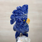 Medium Hand - Carved Sodalite Cockatoo on a Clear Quartz Base, 7.8" Tall #3003 - SOCCQ - 012 - Brazil GemsBrazil GemsMedium Hand - Carved Sodalite Cockatoo on a Clear Quartz Base, 7.8" Tall #3003 - SOCCQ - 012Crystal Birds3003 - SOCCQ - 012