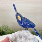 Medium Hand - Carved Sodalite Cockatoo on a Clear Quartz Base, 7.8" Tall #3003 - SOCCQ - 012 - Brazil GemsBrazil GemsMedium Hand - Carved Sodalite Cockatoo on a Clear Quartz Base, 7.8" Tall #3003 - SOCCQ - 012Crystal Birds3003 - SOCCQ - 012