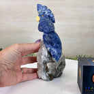 Medium Hand - Carved Sodalite Cockatoo on a Clear Quartz Base, 7.8" Tall #3003 - SOCCQ - 012 - Brazil GemsBrazil GemsMedium Hand - Carved Sodalite Cockatoo on a Clear Quartz Base, 7.8" Tall #3003 - SOCCQ - 012Crystal Birds3003 - SOCCQ - 012