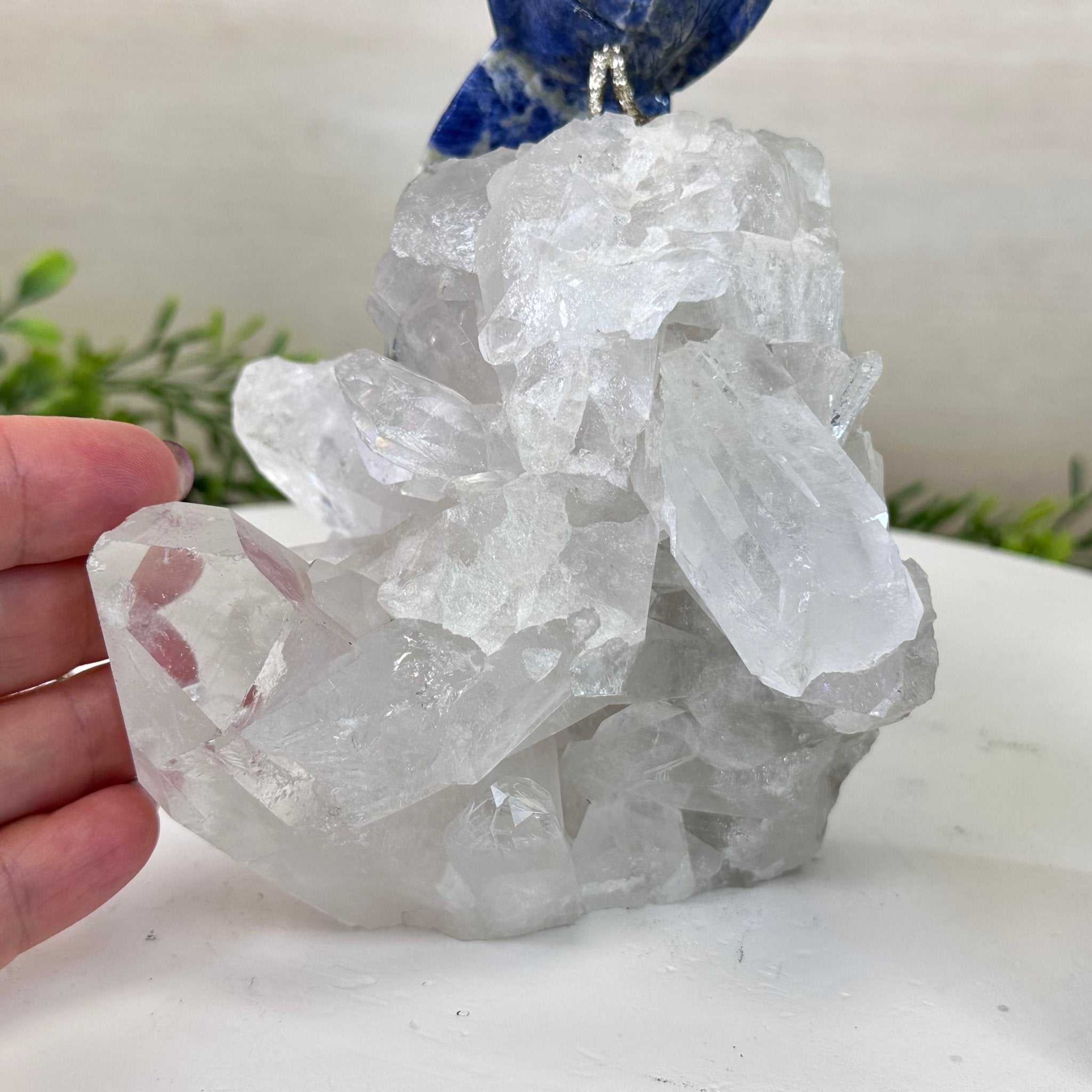 Medium Hand - Carved Sodalite Cockatoo on a Clear Quartz Base, 8.2" Tall #3003 - SOCCQ - 013 - Brazil GemsBrazil GemsMedium Hand - Carved Sodalite Cockatoo on a Clear Quartz Base, 8.2" Tall #3003 - SOCCQ - 013Crystal Birds3003 - SOCCQ - 013