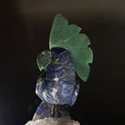 Medium Hand - Carved Sodalite Cockatoo on a Clear Quartz Base, 8.2" Tall #3003 - SOCCQ - 013 - Brazil GemsBrazil GemsMedium Hand - Carved Sodalite Cockatoo on a Clear Quartz Base, 8.2" Tall #3003 - SOCCQ - 013Crystal Birds3003 - SOCCQ - 013