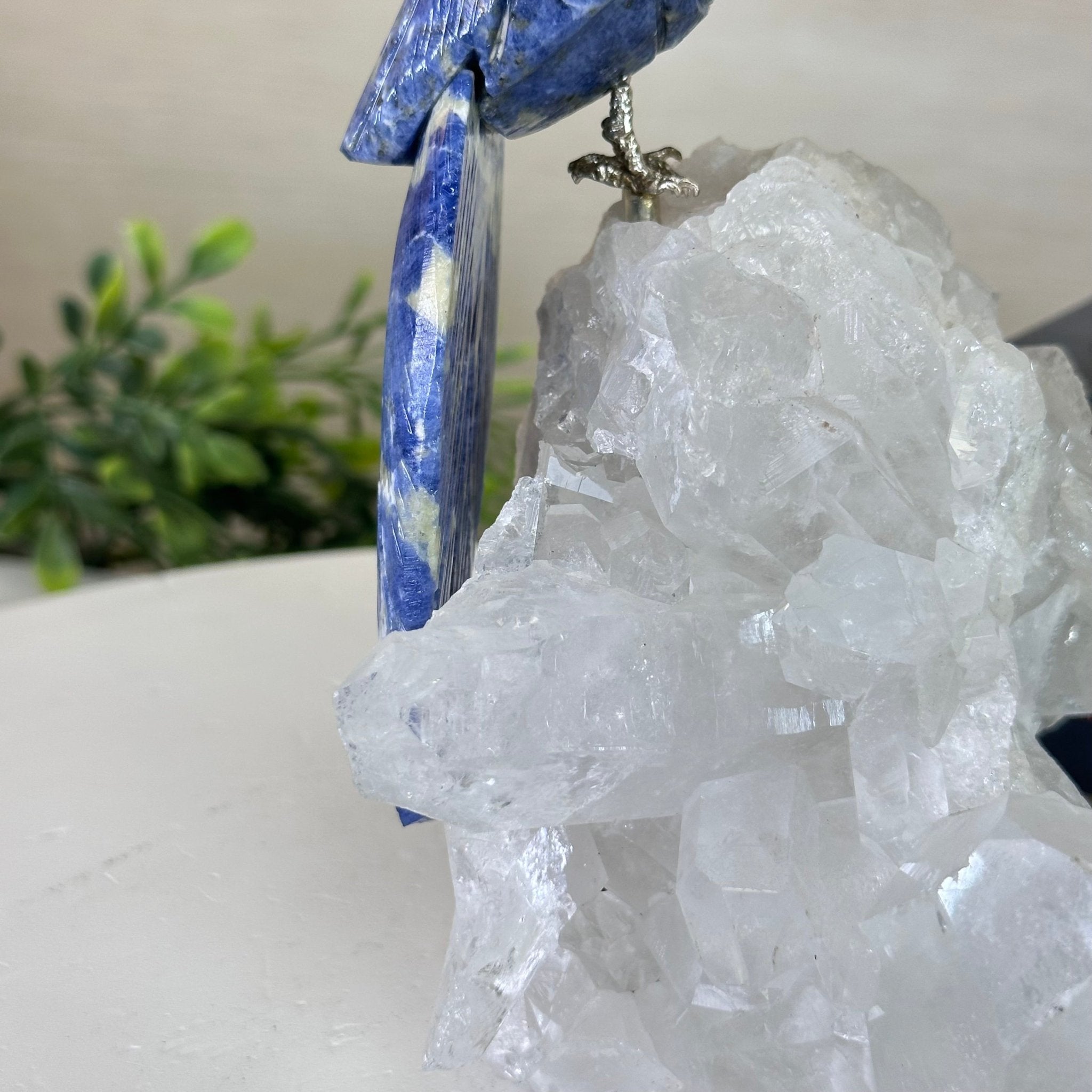 Medium Hand - Carved Sodalite Cockatoo on a Clear Quartz Base, 8.2" Tall #3003 - SOCCQ - 013 - Brazil GemsBrazil GemsMedium Hand - Carved Sodalite Cockatoo on a Clear Quartz Base, 8.2" Tall #3003 - SOCCQ - 013Crystal Birds3003 - SOCCQ - 013