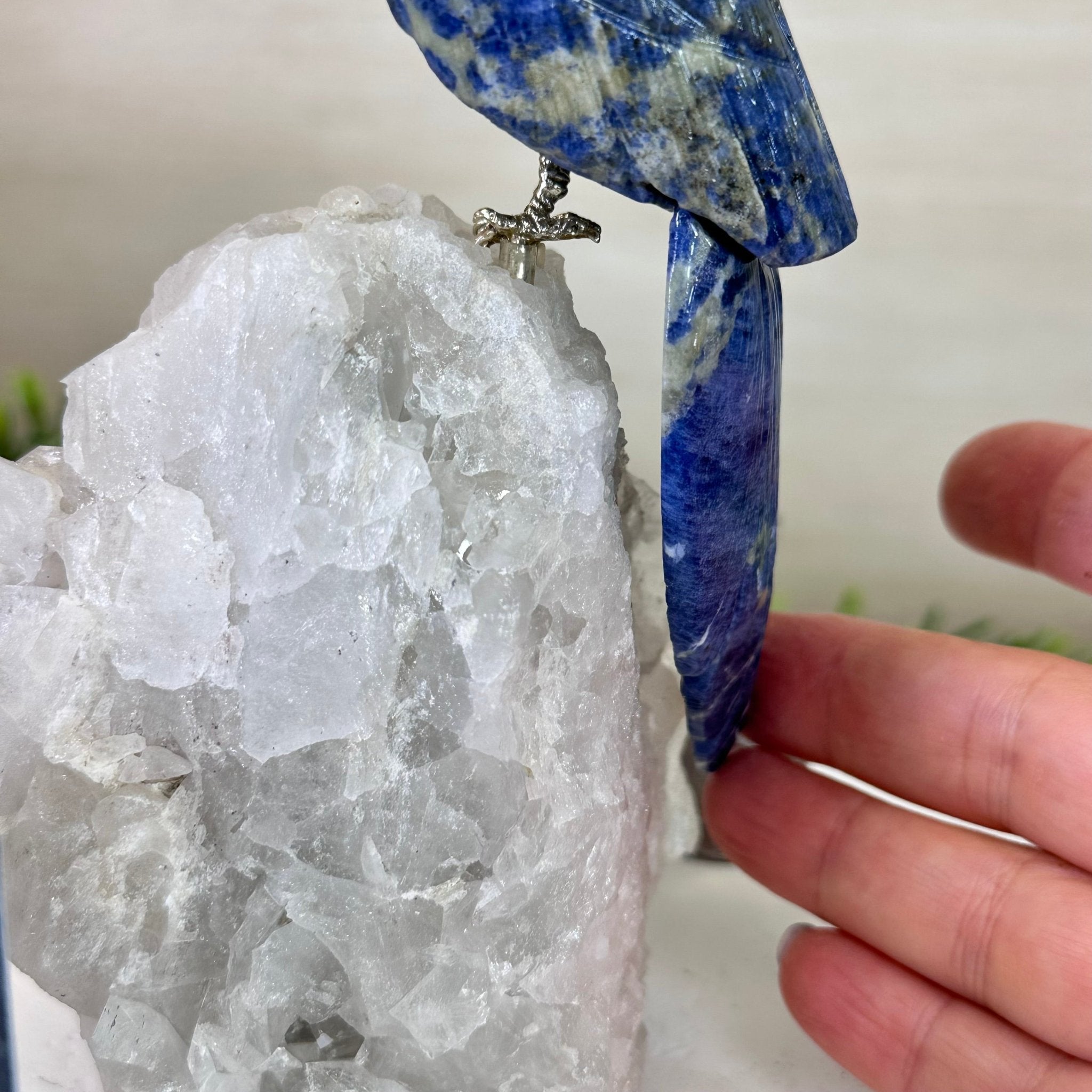 Medium Hand - Carved Sodalite Cockatoo on a Clear Quartz Base, 8.2" Tall #3003 - SOCCQ - 013 - Brazil GemsBrazil GemsMedium Hand - Carved Sodalite Cockatoo on a Clear Quartz Base, 8.2" Tall #3003 - SOCCQ - 013Crystal Birds3003 - SOCCQ - 013