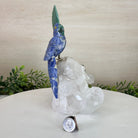 Medium Hand - Carved Sodalite Cockatoo on a Clear Quartz Base, 8.2" Tall #3003 - SOCCQ - 013 - Brazil GemsBrazil GemsMedium Hand - Carved Sodalite Cockatoo on a Clear Quartz Base, 8.2" Tall #3003 - SOCCQ - 013Crystal Birds3003 - SOCCQ - 013