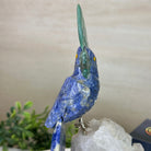 Medium Hand - Carved Sodalite Cockatoo on a Clear Quartz Base, 8.2" Tall #3003 - SOCCQ - 013 - Brazil GemsBrazil GemsMedium Hand - Carved Sodalite Cockatoo on a Clear Quartz Base, 8.2" Tall #3003 - SOCCQ - 013Crystal Birds3003 - SOCCQ - 013