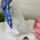 Medium Hand - Carved Sodalite Cockatoo on a Clear Quartz Base, 8.2" Tall #3003 - SOCCQ - 013 - Brazil GemsBrazil GemsMedium Hand - Carved Sodalite Cockatoo on a Clear Quartz Base, 8.2" Tall #3003 - SOCCQ - 013Crystal Birds3003 - SOCCQ - 013