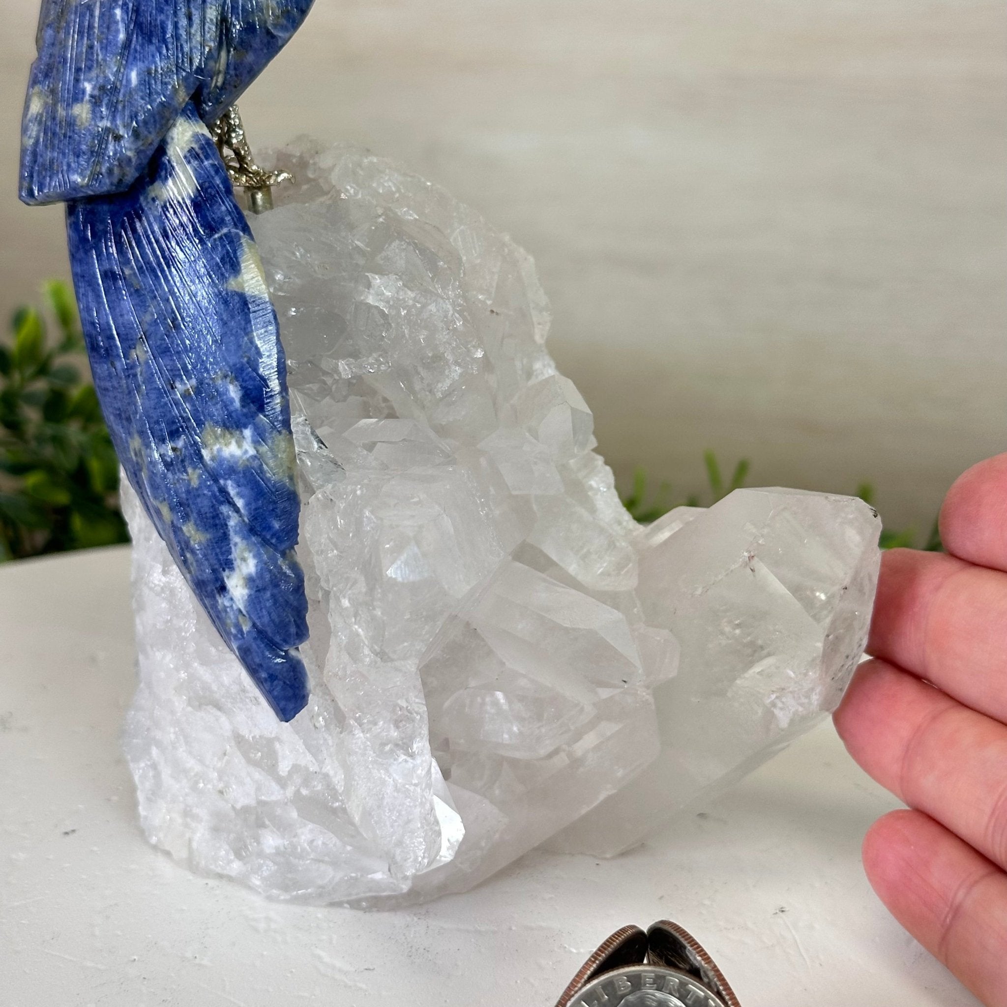 Medium Hand - Carved Sodalite Cockatoo on a Clear Quartz Base, 8.2" Tall #3003 - SOCCQ - 013 - Brazil GemsBrazil GemsMedium Hand - Carved Sodalite Cockatoo on a Clear Quartz Base, 8.2" Tall #3003 - SOCCQ - 013Crystal Birds3003 - SOCCQ - 013