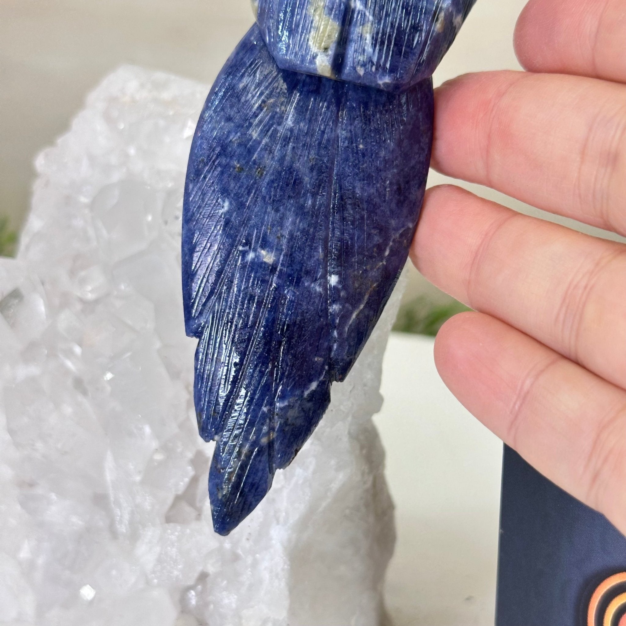 Medium Hand - Carved Sodalite Cockatoo on a Clear Quartz Base, 9.1" Tall #3003 - SOCCQ - 011 - Brazil GemsBrazil GemsMedium Hand - Carved Sodalite Cockatoo on a Clear Quartz Base, 9.1" Tall #3003 - SOCCQ - 011Crystal Birds3003 - SOCCQ - 011