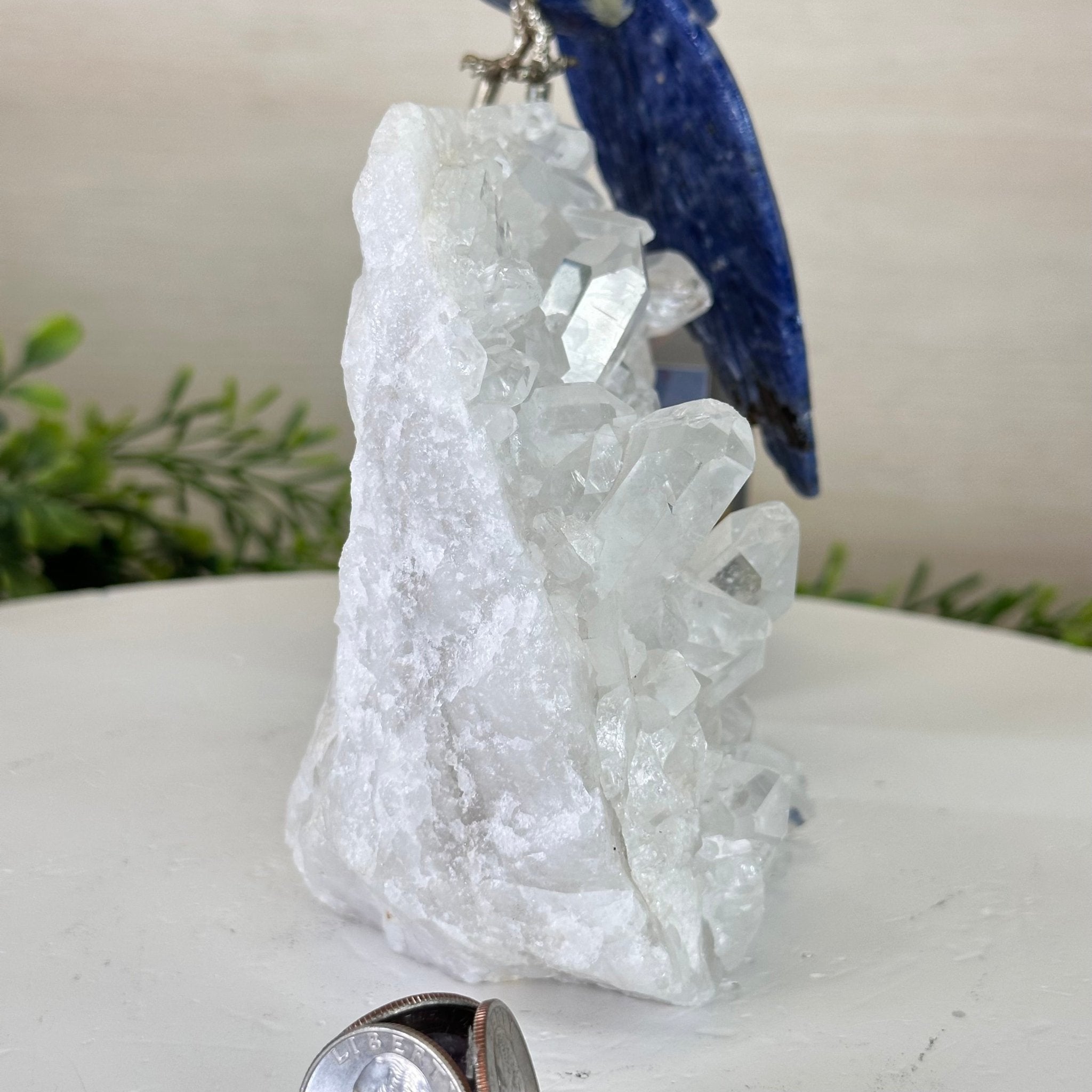 Medium Hand - Carved Sodalite Cockatoo on a Clear Quartz Base, 9.1" Tall #3003 - SOCCQ - 011 - Brazil GemsBrazil GemsMedium Hand - Carved Sodalite Cockatoo on a Clear Quartz Base, 9.1" Tall #3003 - SOCCQ - 011Crystal Birds3003 - SOCCQ - 011