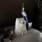 Medium Hand - Carved Sodalite Cockatoo on a Clear Quartz Base, 9.1" Tall #3003 - SOCCQ - 011 - Brazil GemsBrazil GemsMedium Hand - Carved Sodalite Cockatoo on a Clear Quartz Base, 9.1" Tall #3003 - SOCCQ - 011Crystal Birds3003 - SOCCQ - 011