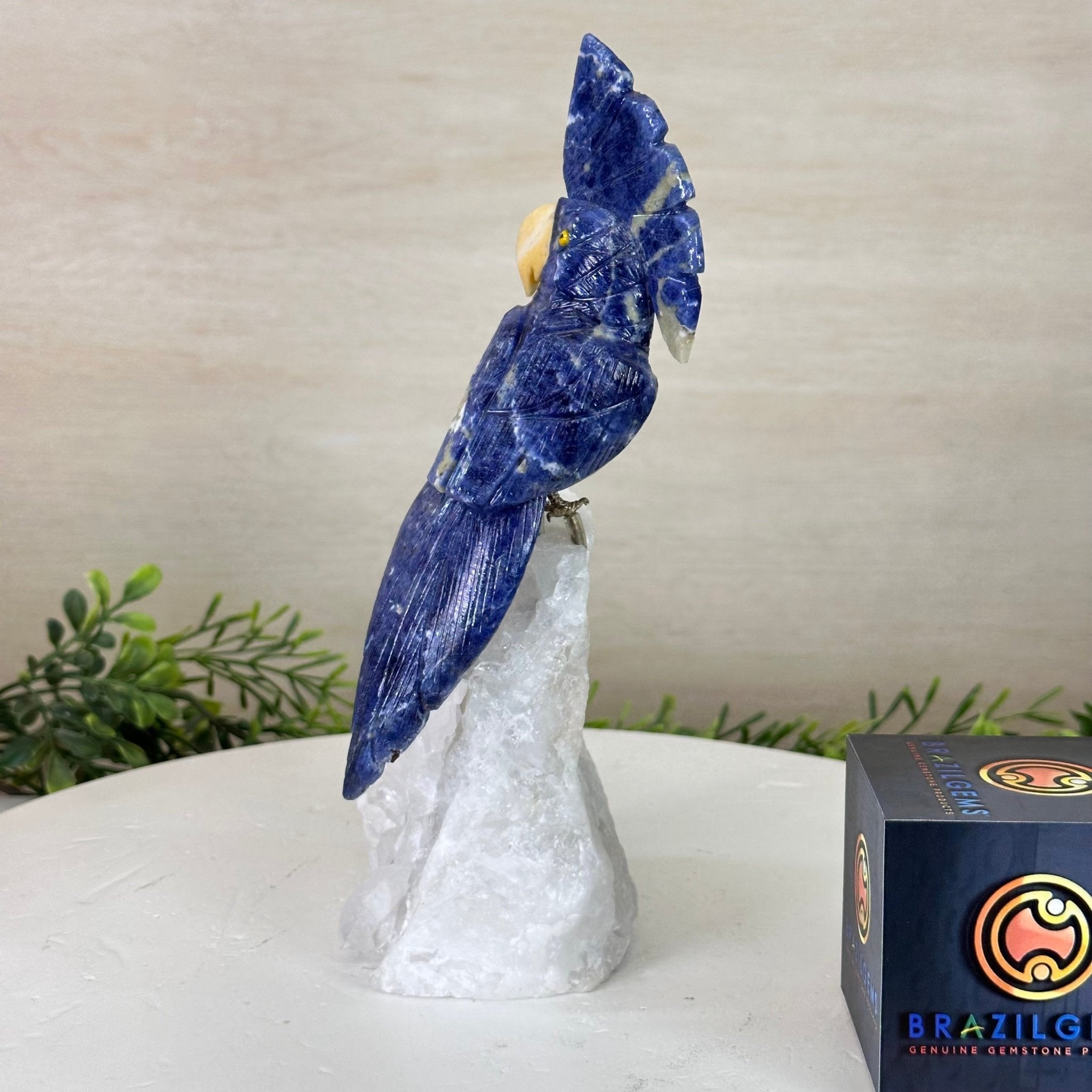 Medium Hand - Carved Sodalite Cockatoo on a Clear Quartz Base, 9.1" Tall #3003 - SOCCQ - 011 - Brazil GemsBrazil GemsMedium Hand - Carved Sodalite Cockatoo on a Clear Quartz Base, 9.1" Tall #3003 - SOCCQ - 011Crystal Birds3003 - SOCCQ - 011