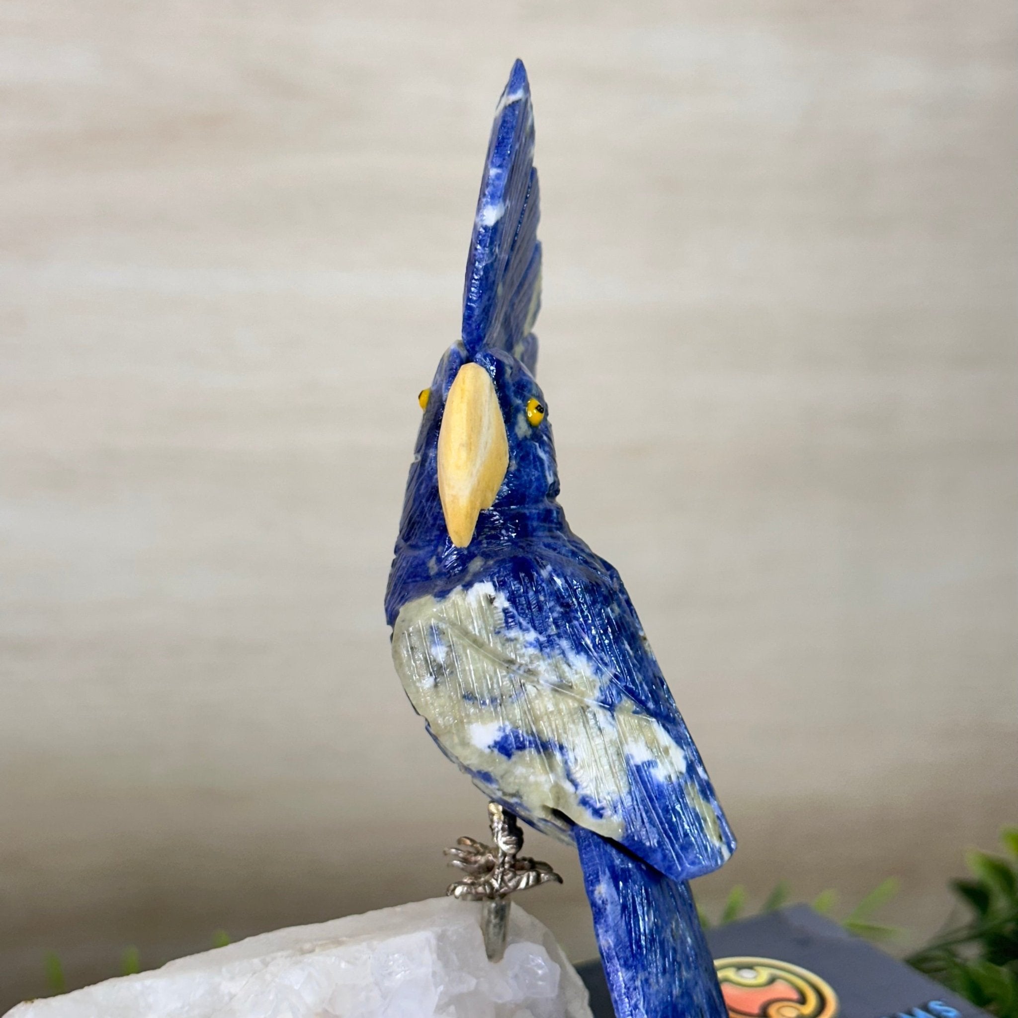 Medium Hand - Carved Sodalite Cockatoo on a Clear Quartz Base, 9.1" Tall #3003 - SOCCQ - 011 - Brazil GemsBrazil GemsMedium Hand - Carved Sodalite Cockatoo on a Clear Quartz Base, 9.1" Tall #3003 - SOCCQ - 011Crystal Birds3003 - SOCCQ - 011