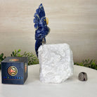 Medium Hand - Carved Sodalite Cockatoo on a Clear Quartz Base, 9.1" Tall #3003 - SOCCQ - 011 - Brazil GemsBrazil GemsMedium Hand - Carved Sodalite Cockatoo on a Clear Quartz Base, 9.1" Tall #3003 - SOCCQ - 011Crystal Birds3003 - SOCCQ - 011