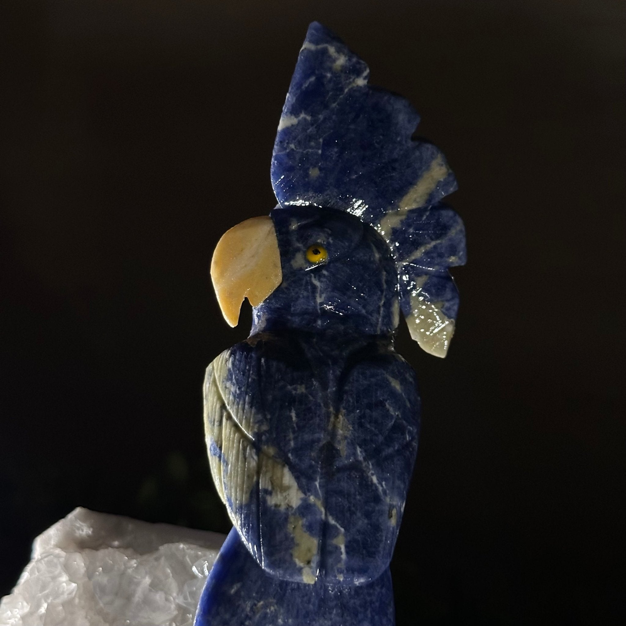 Medium Hand - Carved Sodalite Cockatoo on a Clear Quartz Base, 9.1" Tall #3003 - SOCCQ - 011 - Brazil GemsBrazil GemsMedium Hand - Carved Sodalite Cockatoo on a Clear Quartz Base, 9.1" Tall #3003 - SOCCQ - 011Crystal Birds3003 - SOCCQ - 011