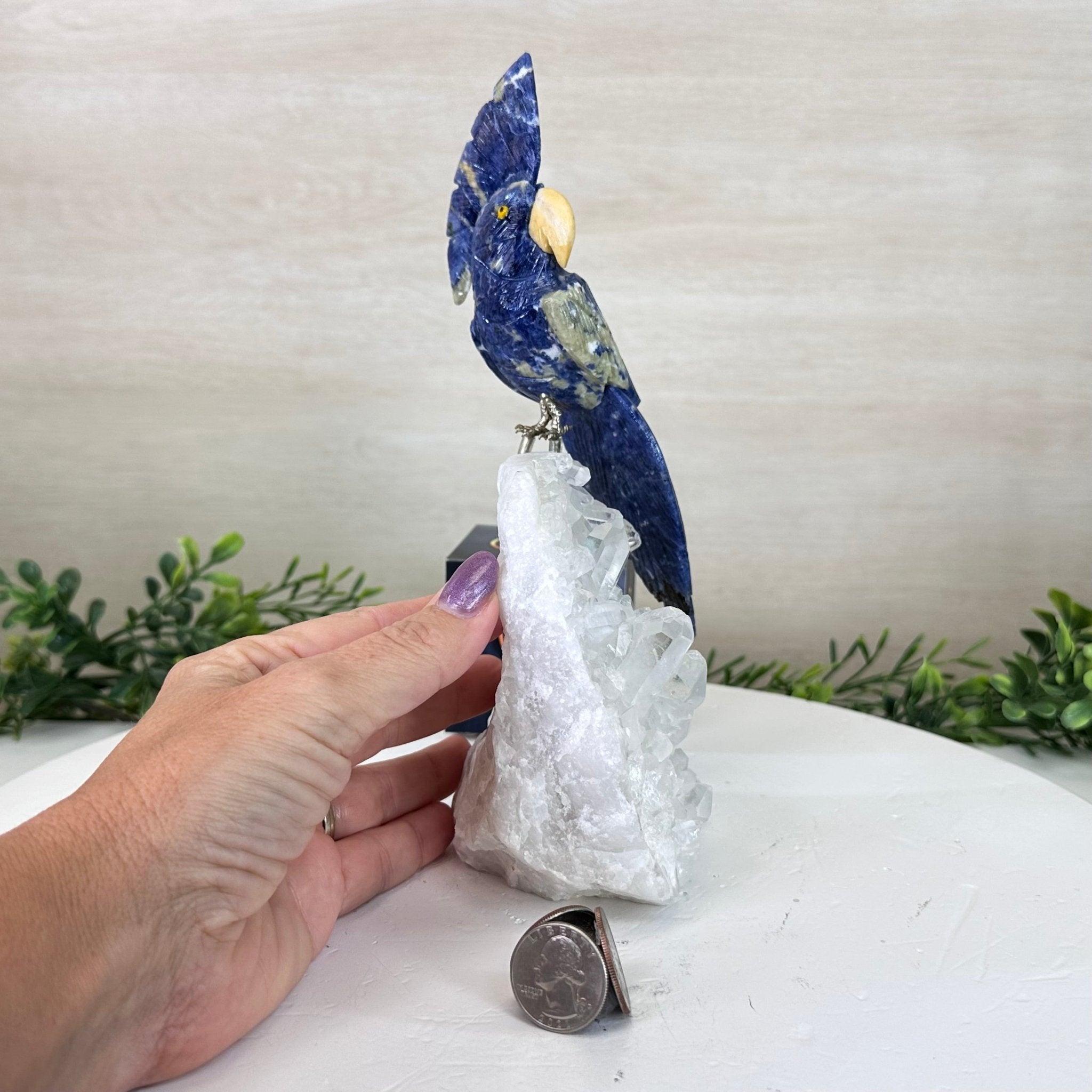 Medium Hand - Carved Sodalite Cockatoo on a Clear Quartz Base, 9.1" Tall #3003 - SOCCQ - 011 - Brazil GemsBrazil GemsMedium Hand - Carved Sodalite Cockatoo on a Clear Quartz Base, 9.1" Tall #3003 - SOCCQ - 011Crystal Birds3003 - SOCCQ - 011