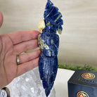 Medium Hand - Carved Sodalite Cockatoo on a Clear Quartz Base, 9.1" Tall #3003 - SOCCQ - 011 - Brazil GemsBrazil GemsMedium Hand - Carved Sodalite Cockatoo on a Clear Quartz Base, 9.1" Tall #3003 - SOCCQ - 011Crystal Birds3003 - SOCCQ - 011