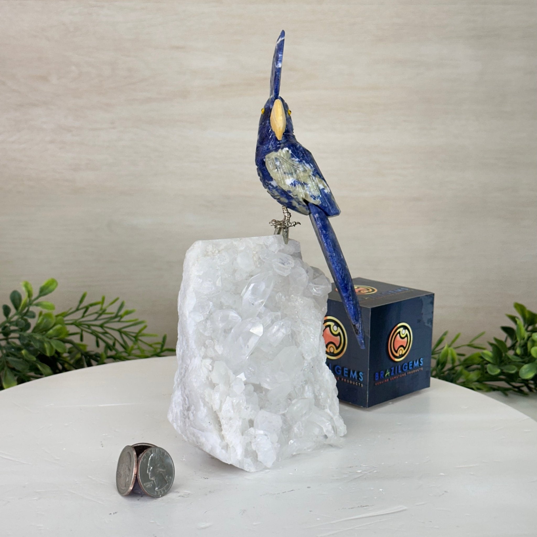 Medium Hand - Carved Sodalite Cockatoo on a Clear Quartz Base, 9.1" Tall #3003 - SOCCQ - 011 - Brazil GemsBrazil GemsMedium Hand - Carved Sodalite Cockatoo on a Clear Quartz Base, 9.1" Tall #3003 - SOCCQ - 011Crystal Birds3003 - SOCCQ - 011