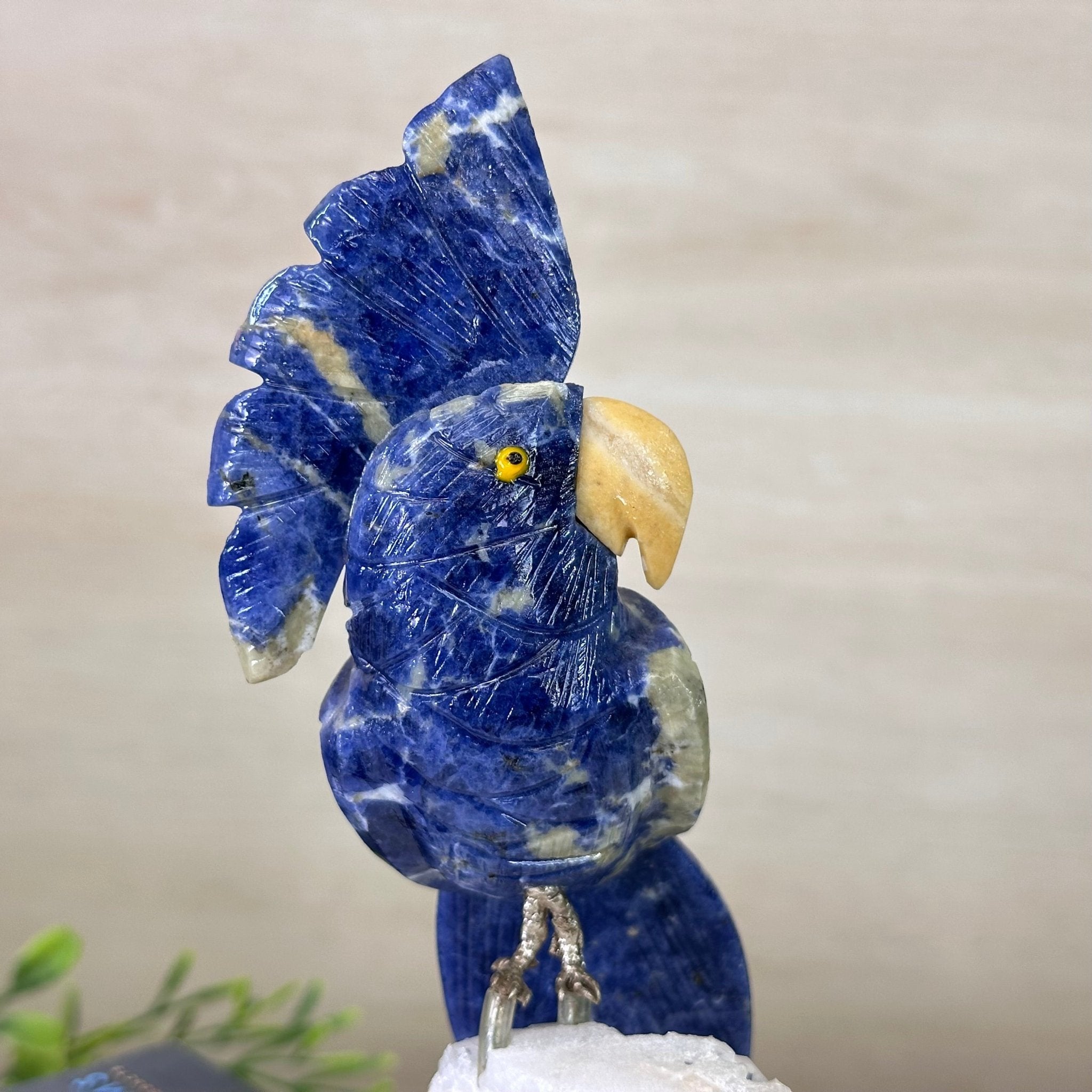 Medium Hand - Carved Sodalite Cockatoo on a Clear Quartz Base, 9.1" Tall #3003 - SOCCQ - 011 - Brazil GemsBrazil GemsMedium Hand - Carved Sodalite Cockatoo on a Clear Quartz Base, 9.1" Tall #3003 - SOCCQ - 011Crystal Birds3003 - SOCCQ - 011