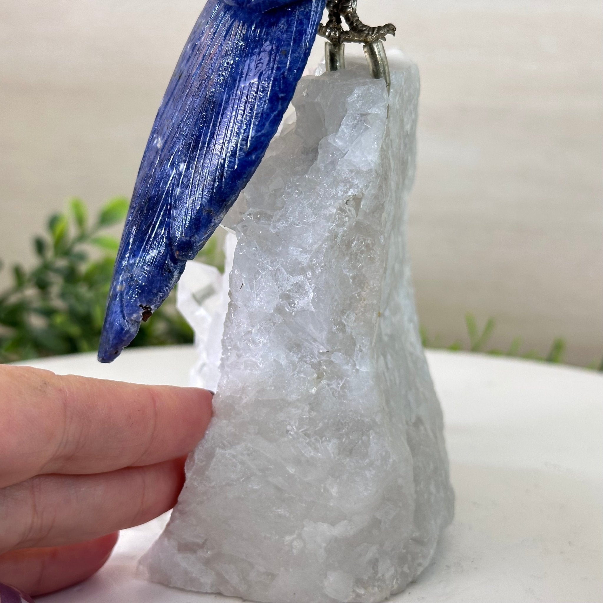 Medium Hand - Carved Sodalite Cockatoo on a Clear Quartz Base, 9.1" Tall #3003 - SOCCQ - 011 - Brazil GemsBrazil GemsMedium Hand - Carved Sodalite Cockatoo on a Clear Quartz Base, 9.1" Tall #3003 - SOCCQ - 011Crystal Birds3003 - SOCCQ - 011