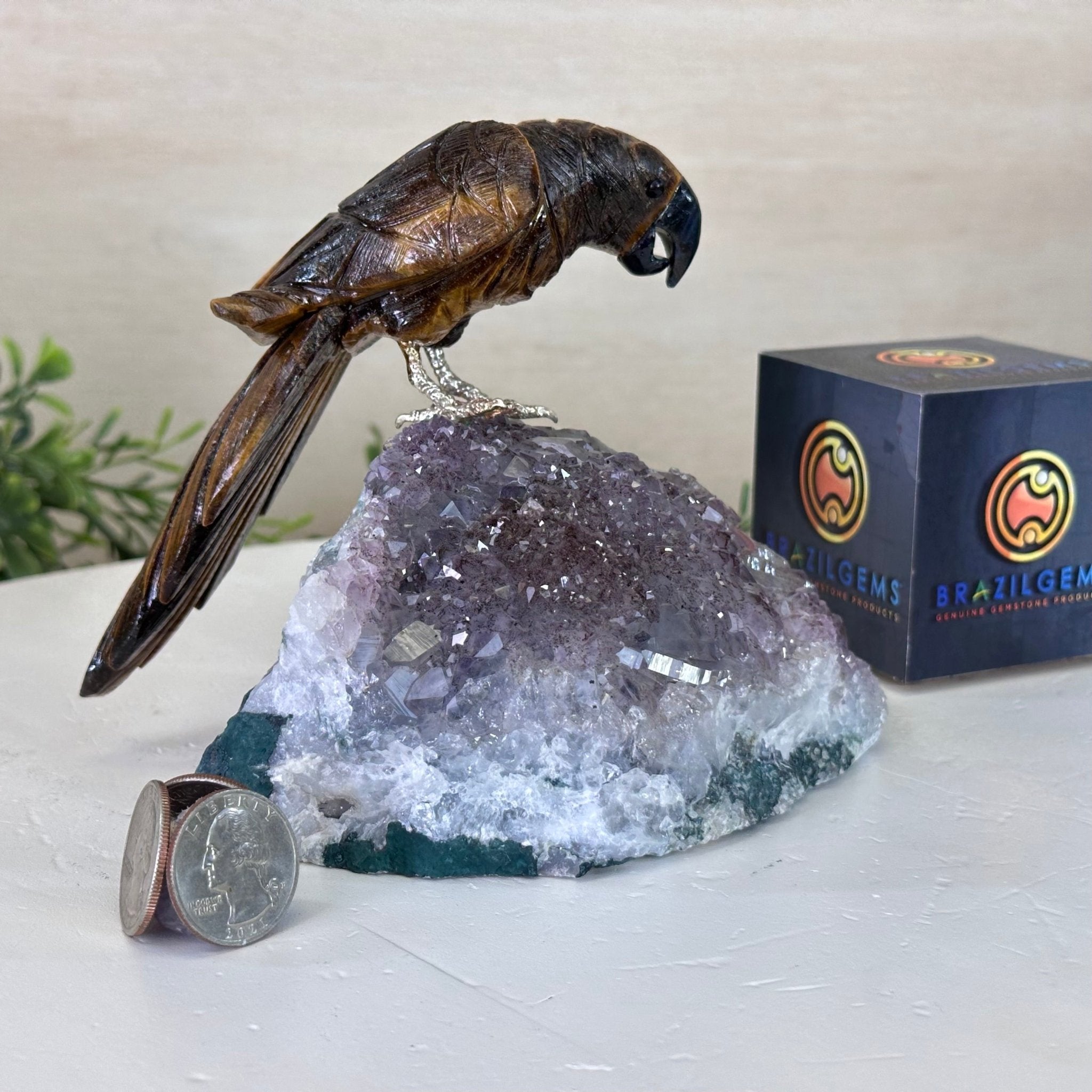 Medium Hand - Carved Tiger's Eye Parrot on an Amethyst Base, 4.6" Tall #3003 - TEPAM - 022 - Brazil GemsBrazil GemsMedium Hand - Carved Tiger's Eye Parrot on an Amethyst Base, 4.6" Tall #3003 - TEPAM - 022Crystal Birds3003 - TEPAM - 022