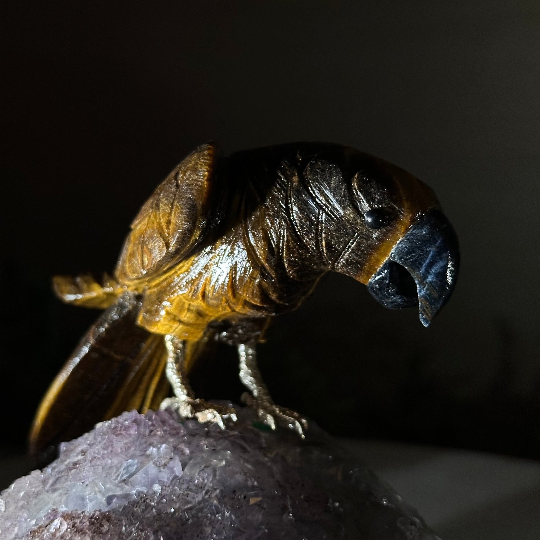 Medium Hand - Carved Tiger's Eye Parrot on an Amethyst Base, 4.6" Tall #3003 - TEPAM - 022 - Brazil GemsBrazil GemsMedium Hand - Carved Tiger's Eye Parrot on an Amethyst Base, 4.6" Tall #3003 - TEPAM - 022Crystal Birds3003 - TEPAM - 022