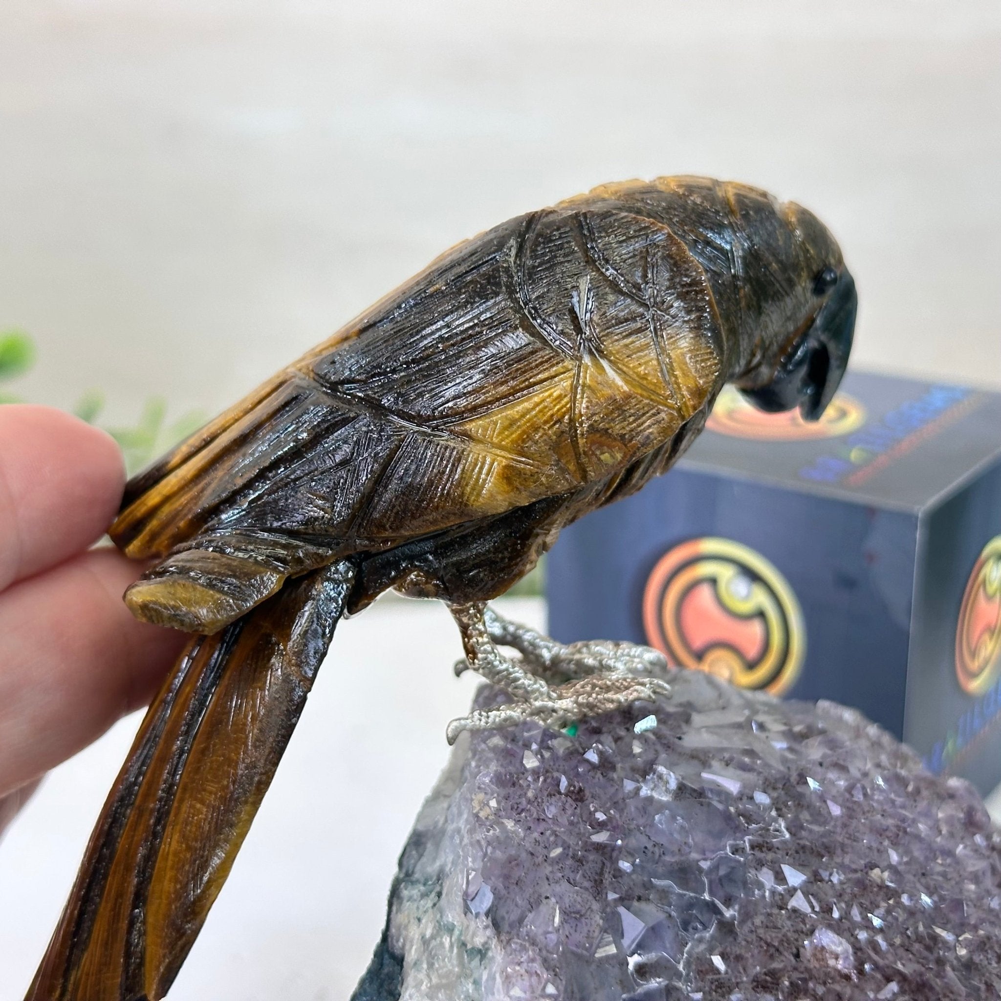 Medium Hand - Carved Tiger's Eye Parrot on an Amethyst Base, 4.6" Tall #3003 - TEPAM - 022 - Brazil GemsBrazil GemsMedium Hand - Carved Tiger's Eye Parrot on an Amethyst Base, 4.6" Tall #3003 - TEPAM - 022Crystal Birds3003 - TEPAM - 022