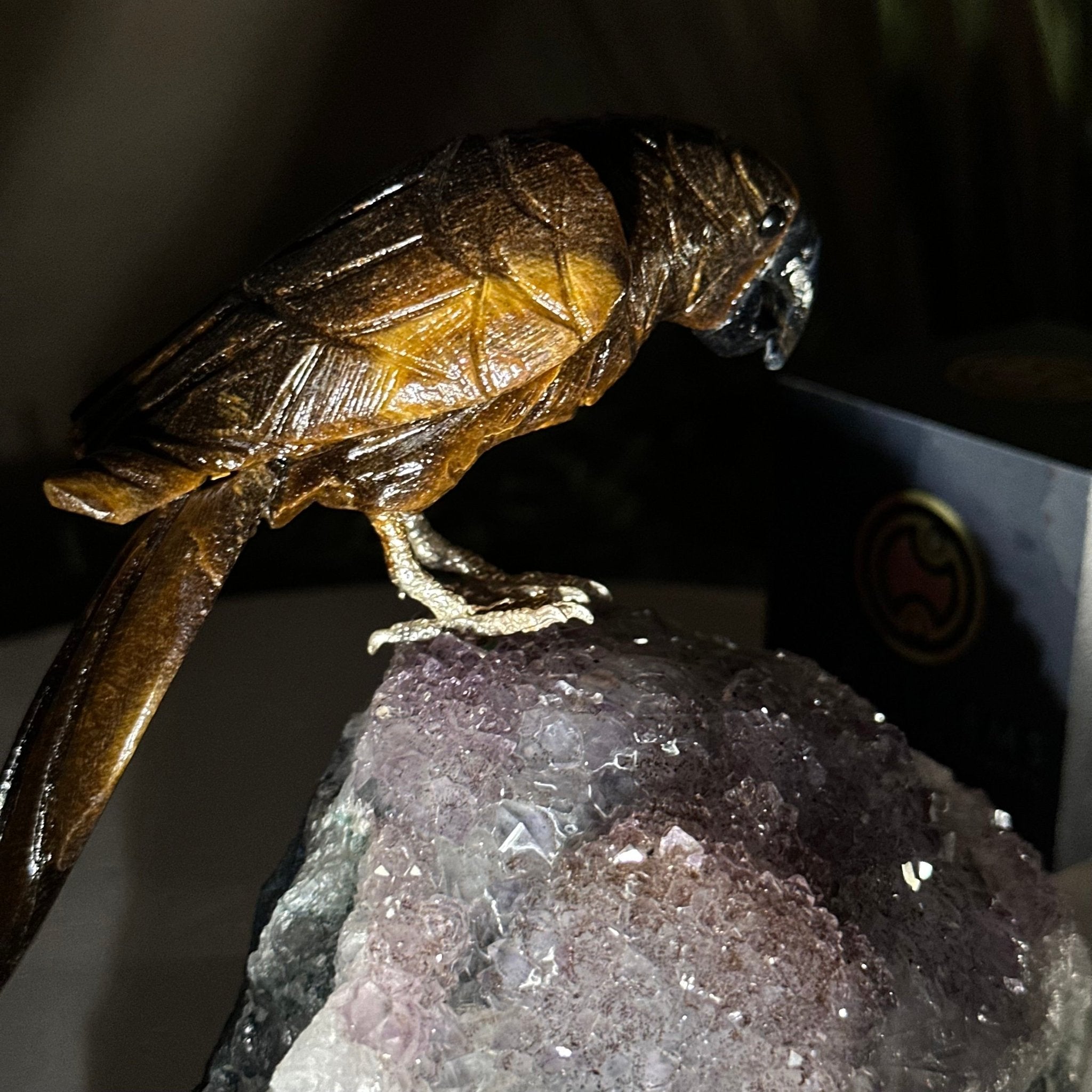 Medium Hand - Carved Tiger's Eye Parrot on an Amethyst Base, 4.6" Tall #3003 - TEPAM - 022 - Brazil GemsBrazil GemsMedium Hand - Carved Tiger's Eye Parrot on an Amethyst Base, 4.6" Tall #3003 - TEPAM - 022Crystal Birds3003 - TEPAM - 022