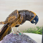 Medium Hand - Carved Tiger's Eye Parrot on an Amethyst Base, 4.6" Tall #3003 - TEPAM - 022 - Brazil GemsBrazil GemsMedium Hand - Carved Tiger's Eye Parrot on an Amethyst Base, 4.6" Tall #3003 - TEPAM - 022Crystal Birds3003 - TEPAM - 022