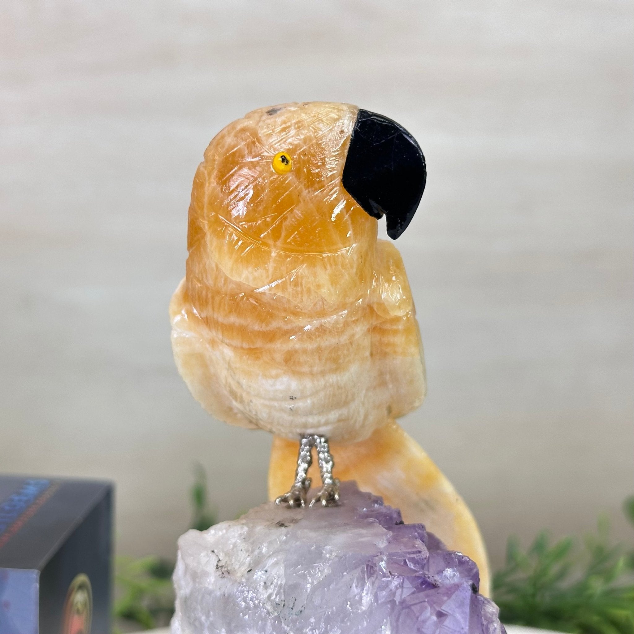 Medium Hand - Carved Yellow Calcite Parrot on an Amethyst Base, 6.8" Tall #3003 - YCPAM - 016 - Brazil GemsBrazil GemsMedium Hand - Carved Yellow Calcite Parrot on an Amethyst Base, 6.8" Tall #3003 - YCPAM - 016Crystal Birds3003 - YCPAM - 016