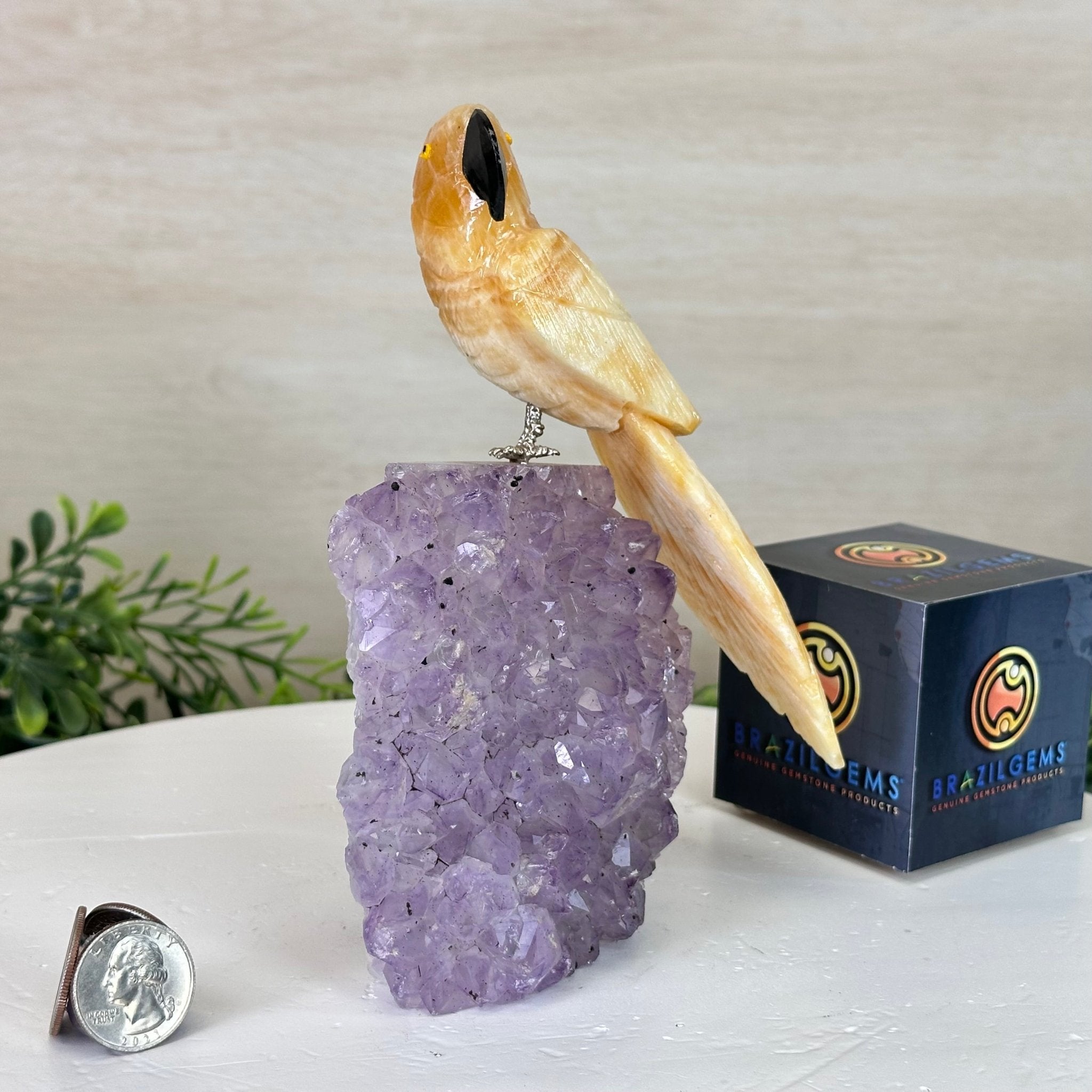 Medium Hand - Carved Yellow Calcite Parrot on an Amethyst Base, 6.8" Tall #3003 - YCPAM - 016 - Brazil GemsBrazil GemsMedium Hand - Carved Yellow Calcite Parrot on an Amethyst Base, 6.8" Tall #3003 - YCPAM - 016Crystal Birds3003 - YCPAM - 016