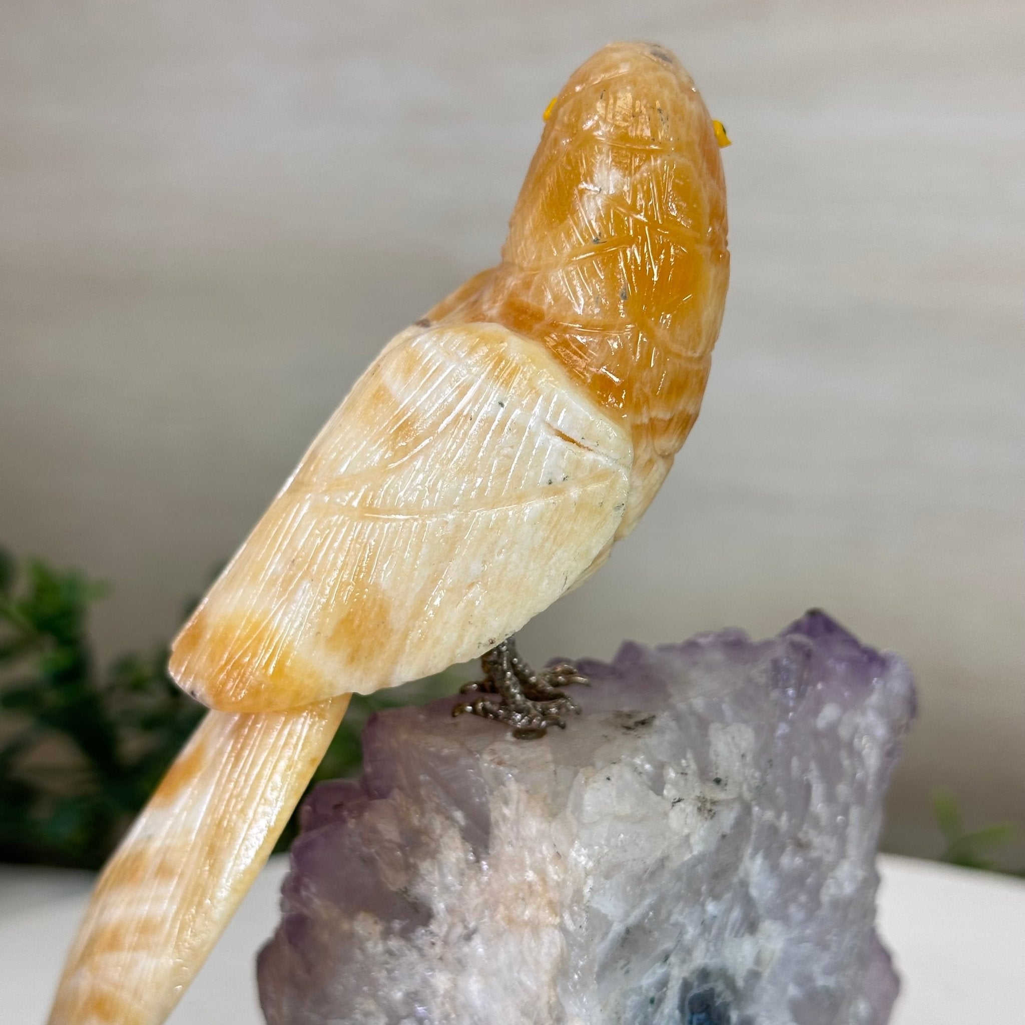 Medium Hand - Carved Yellow Calcite Parrot on an Amethyst Base, 6.8" Tall #3003 - YCPAM - 016 - Brazil GemsBrazil GemsMedium Hand - Carved Yellow Calcite Parrot on an Amethyst Base, 6.8" Tall #3003 - YCPAM - 016Crystal Birds3003 - YCPAM - 016